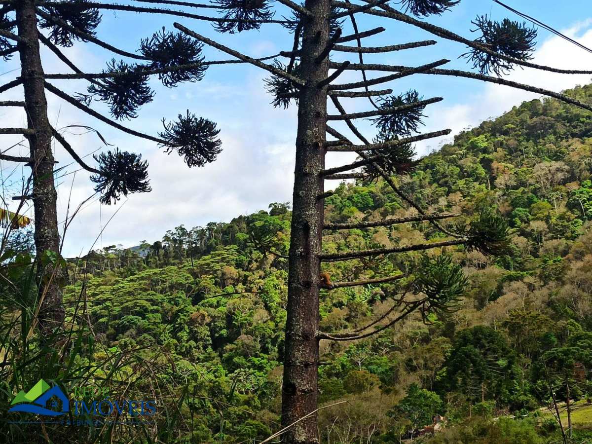Terreno à venda, 20000m² - Rio Grande de Cima,Nova Friburgo