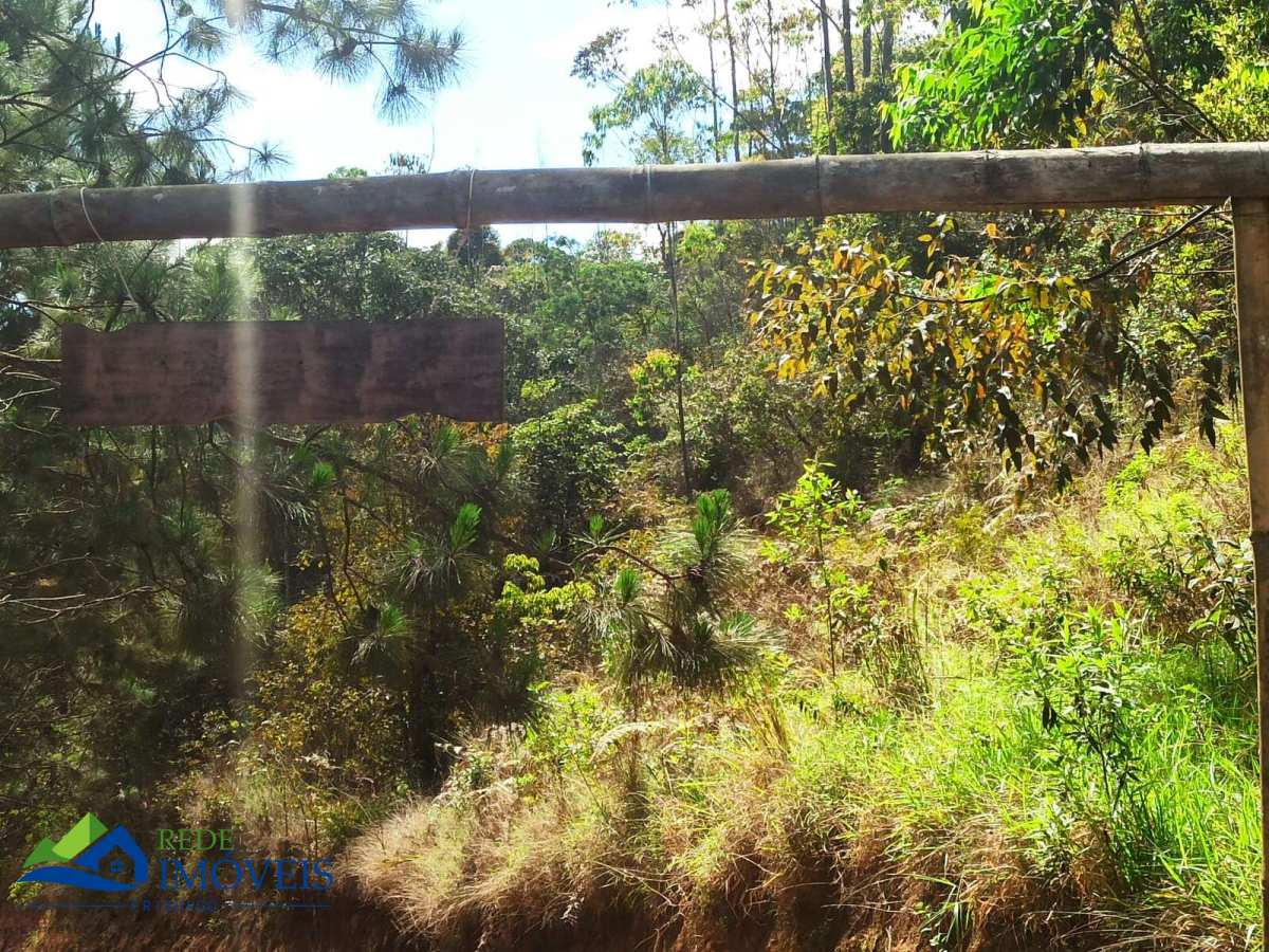 Terreno à venda, 20000m² - Rio Grande de Cima,Nova Friburgo