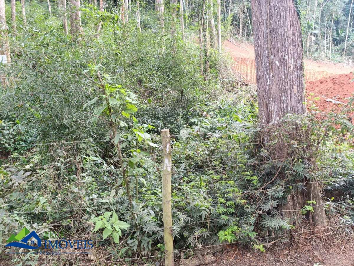 Terreno à venda, 800m² - Fazenda Bela Vista,Nova Friburgo