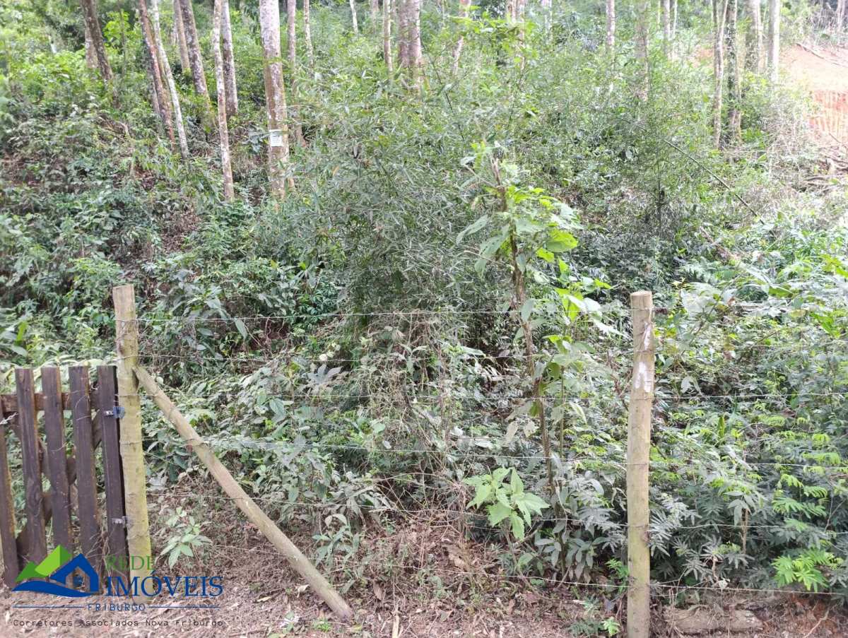 Vendo Terreno na Fazendo Bela Vista com 800 mts² - Rede Imóveis Friburgo