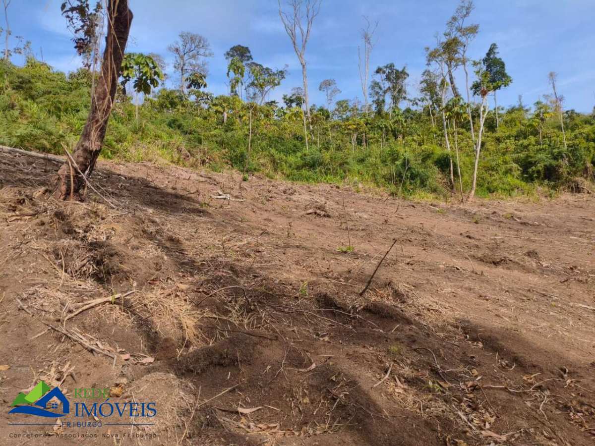 Terreno à venda, 10000m² - São Geraldo,Nova Friburgo