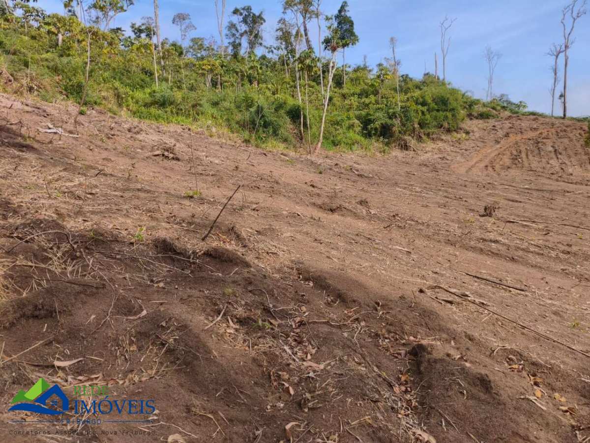 Terreno à venda, 10000m² - São Geraldo,Nova Friburgo