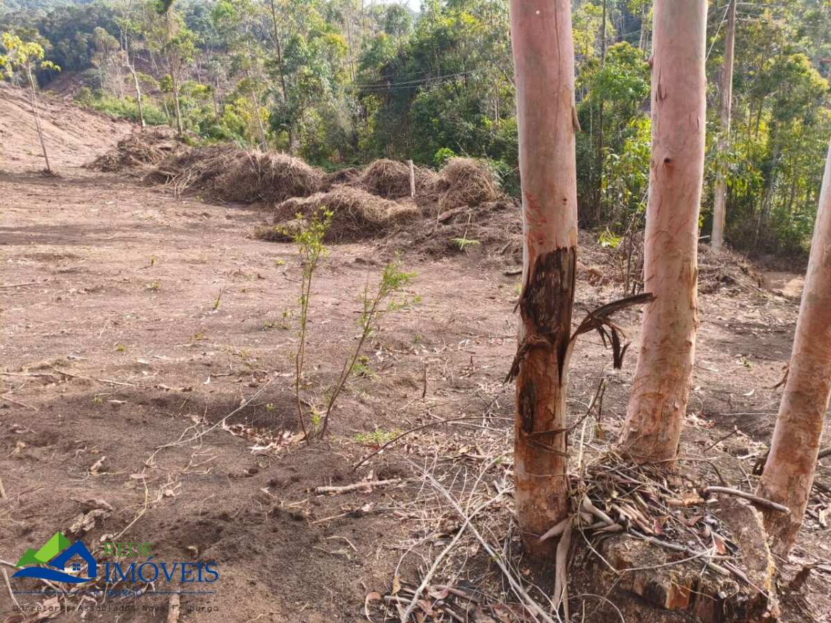 Vendo Àrea Rural a partir de 10 mil mts², Boa Topografia, Com RGI - Rede Imóveis Friburgo