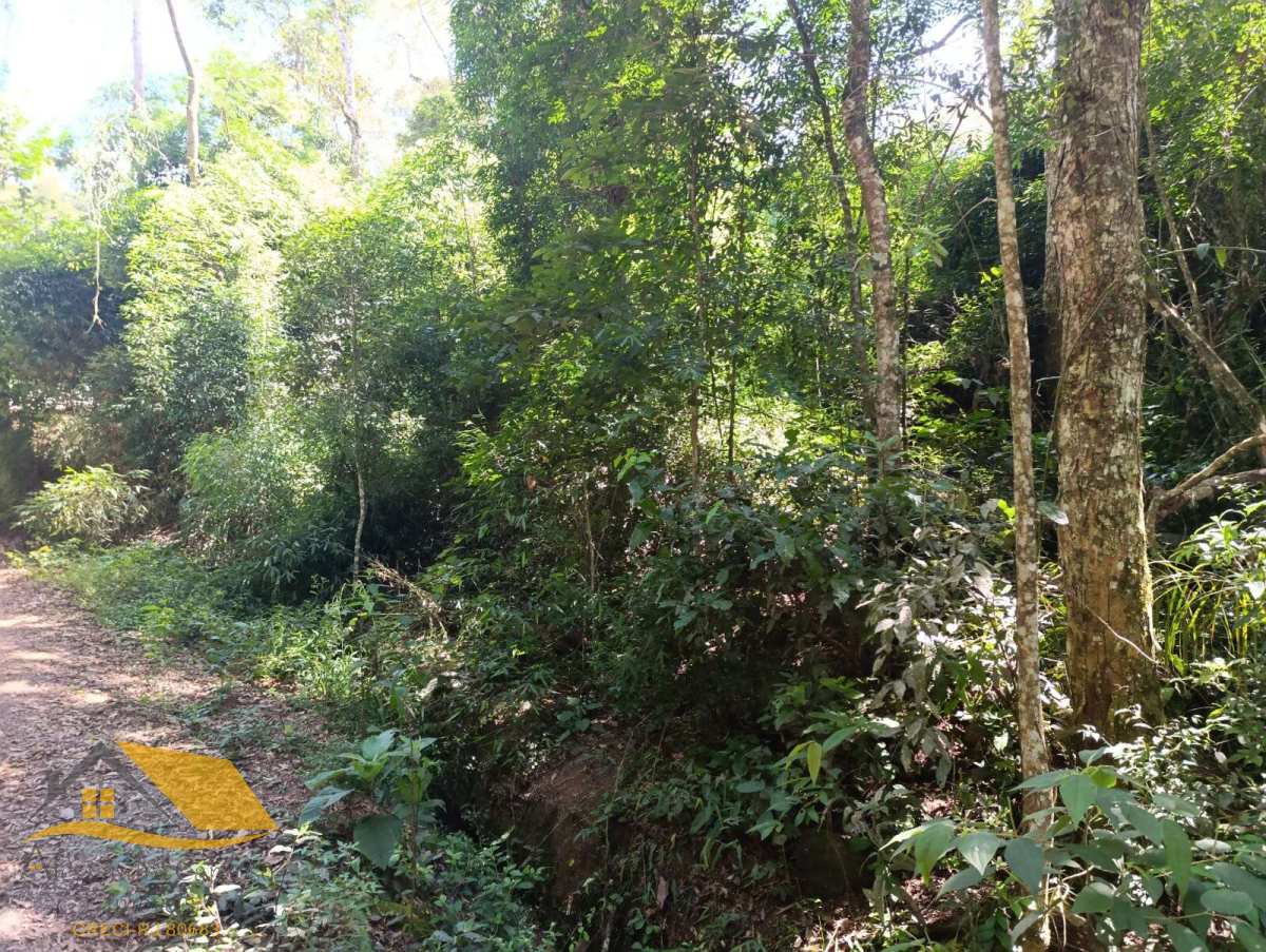 Terreno à venda, 4290m² - Cardinot,Nova Friburgo