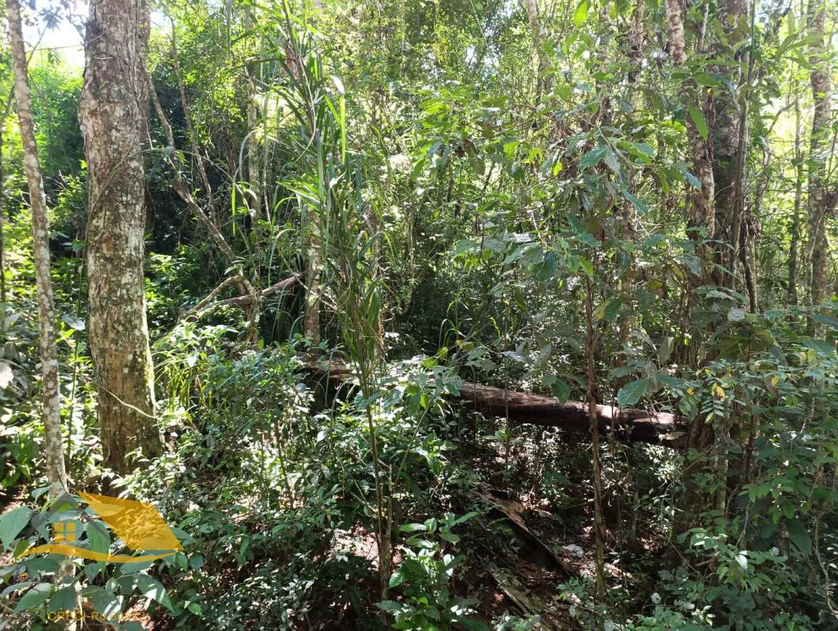 Vendo Terreno no Cardinot com 4290 mtd² - Rede Imóveis Friburgo